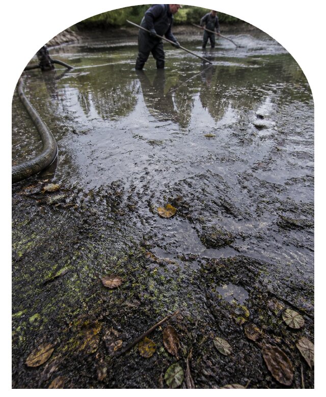 Очистка пруда в Соликамске от ила мусора и водорослей с вывозом